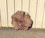 Claro Walnut Cookie Lumber