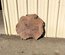 Claro Walnut Cookie Lumber