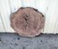 Claro Walnut Cookie Lumber