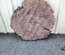 Claro Walnut Cookie Lumber