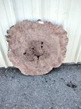 Claro Walnut Cookie Lumber