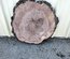 Claro Walnut Cookie Lumber