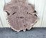 Claro Walnut Cookie Lumber