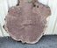 Claro Walnut Cookie Lumber