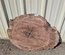 Claro Walnut Cookie Lumber