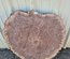 Claro Walnut Cookie Lumber