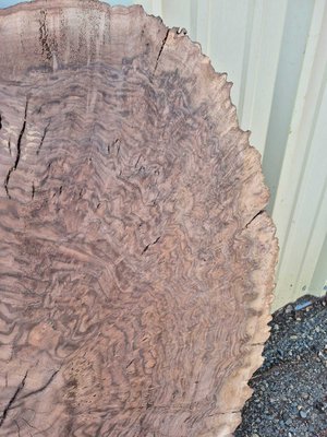 Claro Walnut Cookie Lumber