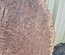 Claro Walnut Cookie Lumber