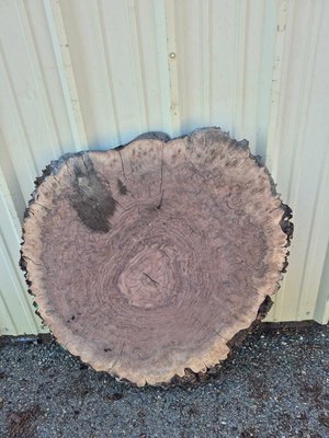 Claro Walnut Cookie Lumber