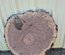 Claro Walnut Cookie Lumber