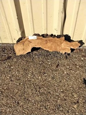 Olive Wood Other Lumber