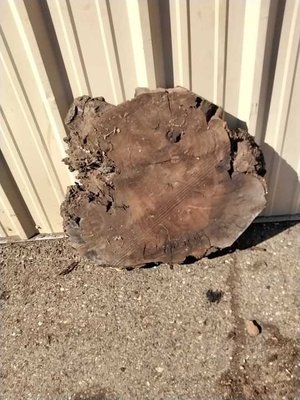 Claro Walnut Cookie Lumber