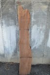 Walnut Slab Lumber