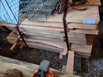 Red Gum Eucalyptus Board Lumber